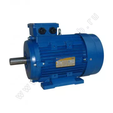 Электродвигатель АИР 100 L2